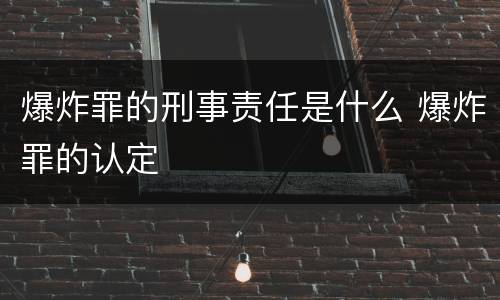 爆炸罪的刑事责任是什么 爆炸罪的认定