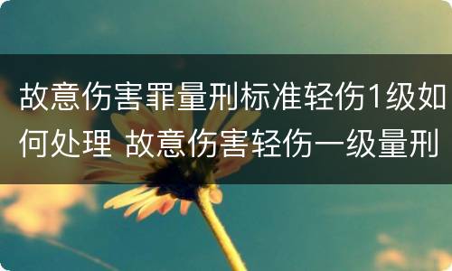 故意伤害罪量刑标准轻伤1级如何处理 故意伤害轻伤一级量刑标准及赔偿1004无标题