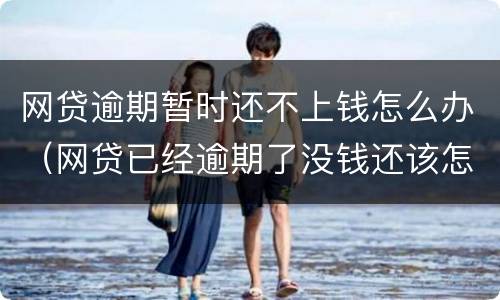 网贷逾期暂时还不上钱怎么办（网贷已经逾期了没钱还该怎么办）