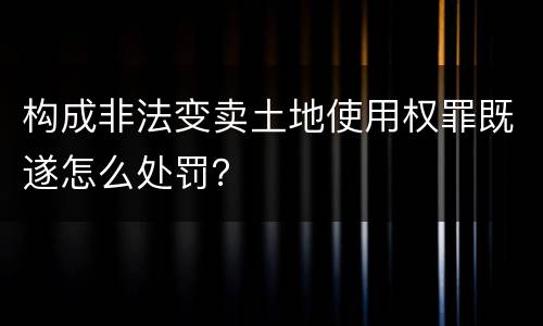 构成非法变卖土地使用权罪既遂怎么处罚？