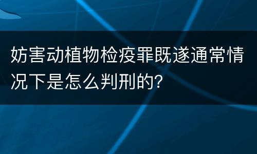 妨害动植物检疫罪既遂通常情况下是怎么判刑的？
