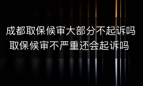 成都取保候审大部分不起诉吗 取保候审不严重还会起诉吗