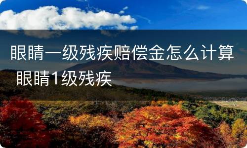 眼睛一级残疾赔偿金怎么计算 眼睛1级残疾