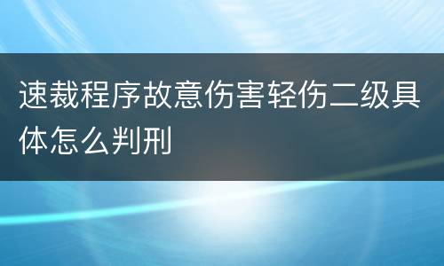 速裁程序故意伤害轻伤二级具体怎么判刑