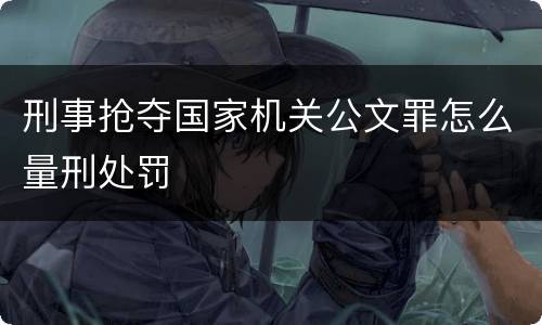 刑事抢夺国家机关公文罪怎么量刑处罚