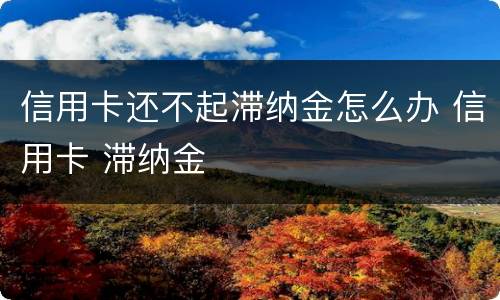 信用卡还不起滞纳金怎么办 信用卡 滞纳金