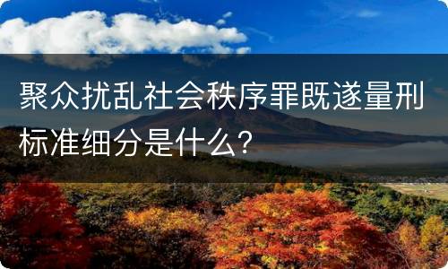 聚众扰乱社会秩序罪既遂量刑标准细分是什么？