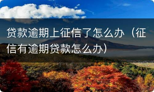贷款逾期上征信了怎么办（征信有逾期贷款怎么办）