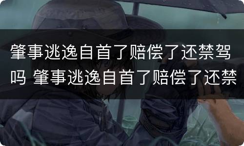 肇事逃逸自首了赔偿了还禁驾吗 肇事逃逸自首了赔偿了还禁驾吗多久