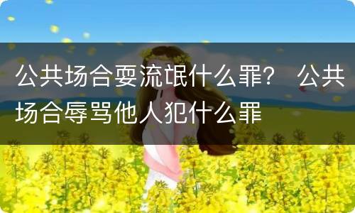 公共场合耍流氓什么罪？ 公共场合辱骂他人犯什么罪