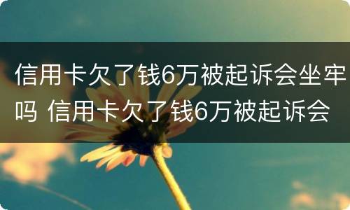 信用卡欠了钱6万被起诉会坐牢吗 信用卡欠了钱6万被起诉会坐牢吗知乎