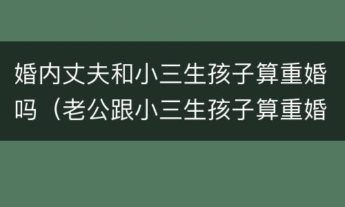 婚内丈夫和小三生孩子算重婚吗（老公跟小三生孩子算重婚吗）
