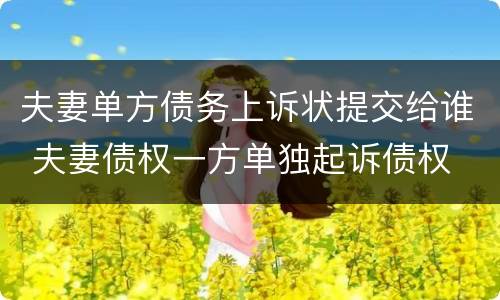 夫妻单方债务上诉状提交给谁 夫妻债权一方单独起诉债权