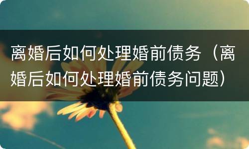 离婚后如何处理婚前债务（离婚后如何处理婚前债务问题）
