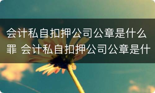 会计私自扣押公司公章是什么罪 会计私自扣押公司公章是什么罪名