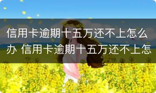 信用卡逾期十五万还不上怎么办 信用卡逾期十五万还不上怎么办呢