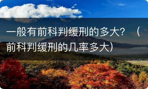 一般有前科判缓刑的多大？（前科判缓刑的几率多大）