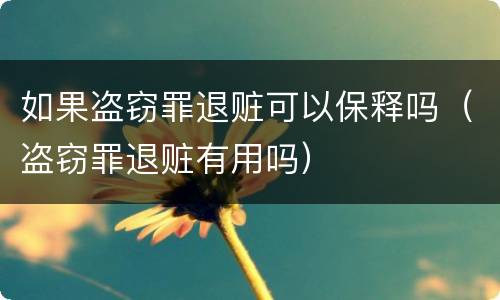 如果盗窃罪退赃可以保释吗（盗窃罪退赃有用吗）