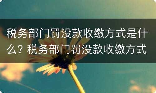 税务部门罚没款收缴方式是什么? 税务部门罚没款收缴方式是什么呢