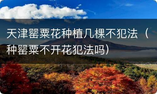 天津罂粟花种植几棵不犯法（种罂粟不开花犯法吗）