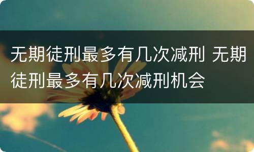 无期徒刑最多有几次减刑 无期徒刑最多有几次减刑机会