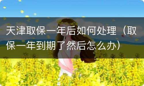天津取保一年后如何处理（取保一年到期了然后怎么办）