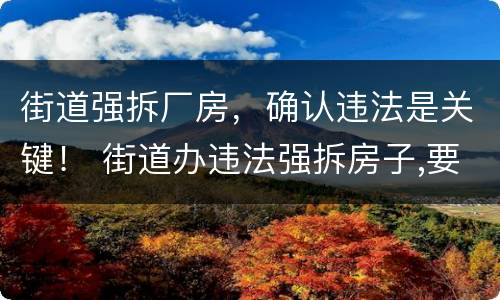 街道强拆厂房，确认违法是关键！ 街道办违法强拆房子,要负什么责任吗?