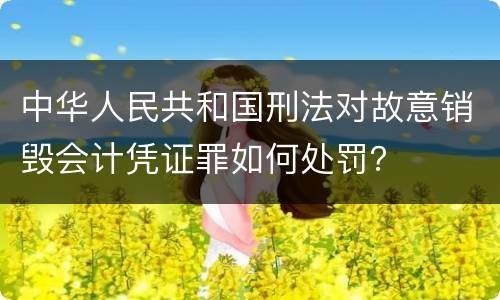 中华人民共和国刑法对故意销毁会计凭证罪如何处罚？