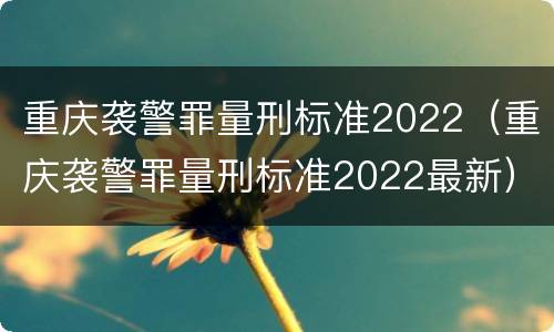 重庆袭警罪量刑标准2022（重庆袭警罪量刑标准2022最新）