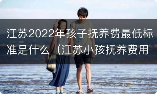 江苏2022年孩子抚养费最低标准是什么（江苏小孩抚养费用是多少）