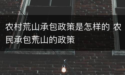 农村荒山承包政策是怎样的 农民承包荒山的政策