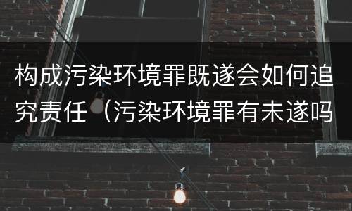构成污染环境罪既遂会如何追究责任（污染环境罪有未遂吗）