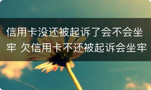 信用卡没还被起诉了会不会坐牢 欠信用卡不还被起诉会坐牢吗