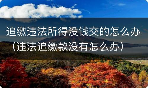 追缴违法所得没钱交的怎么办（违法追缴款没有怎么办）