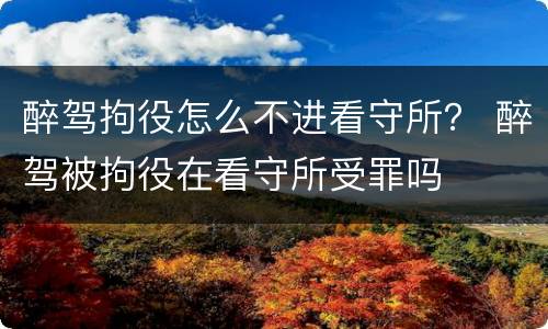 醉驾拘役怎么不进看守所？ 醉驾被拘役在看守所受罪吗