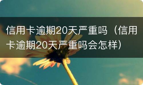 信用卡逾期20天严重吗（信用卡逾期20天严重吗会怎样）