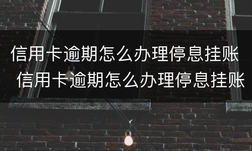 信用卡逾期怎么办理停息挂账 信用卡逾期怎么办理停息挂账分期还款