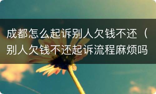 成都怎么起诉别人欠钱不还（别人欠钱不还起诉流程麻烦吗）
