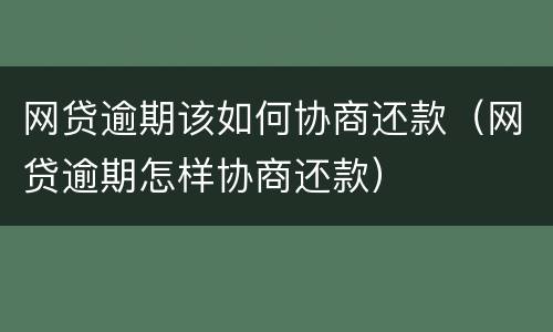 网贷逾期该如何协商还款（网贷逾期怎样协商还款）