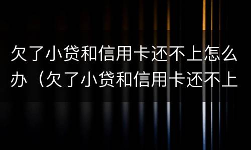 欠了小贷和信用卡还不上怎么办（欠了小贷和信用卡还不上怎么办呢）
