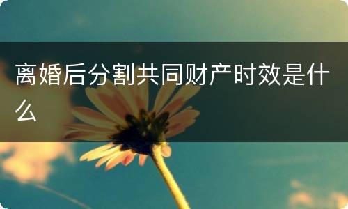 离婚后分割共同财产时效是什么