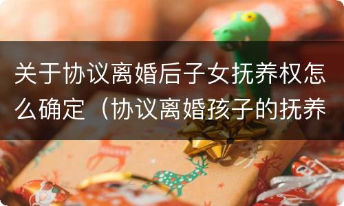 关于协议离婚后子女抚养权怎么确定（协议离婚孩子的抚养权法律怎么规定的）