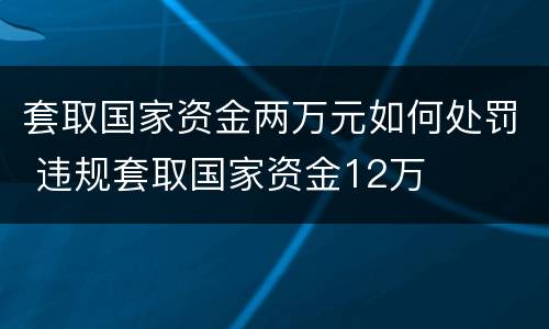 套取国家资金两万元如何处罚 违规套取国家资金12万