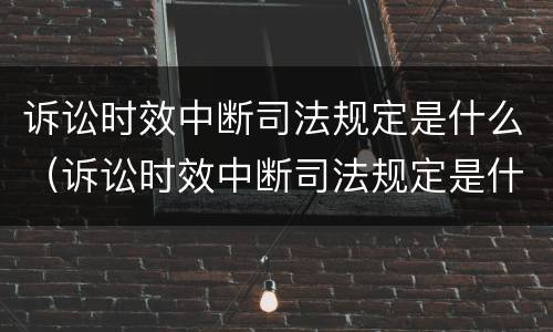 诉讼时效中断司法规定是什么（诉讼时效中断司法规定是什么时候实施）
