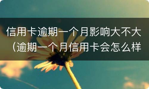信用卡逾期一个月影响大不大（逾期一个月信用卡会怎么样）