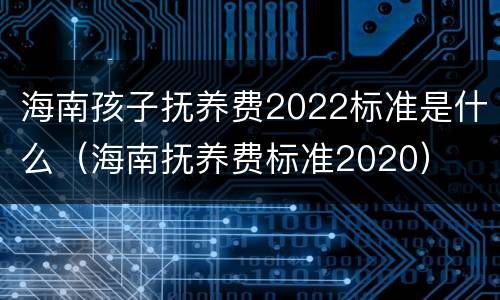 海南孩子抚养费2022标准是什么（海南抚养费标准2020）