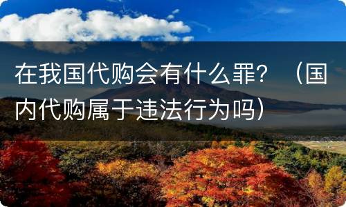 在我国代购会有什么罪？（国内代购属于违法行为吗）