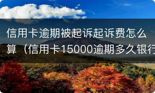 信用卡逾期被起诉起诉费怎么算（信用卡15000逾期多久银行起诉）