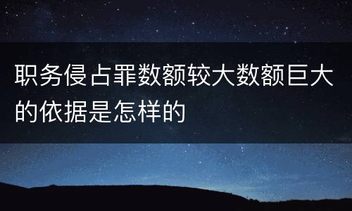 职务侵占罪数额较大数额巨大的依据是怎样的