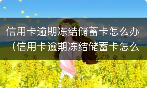 信用卡逾期冻结储蓄卡怎么办（信用卡逾期冻结储蓄卡怎么办呢）